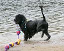 20140816-cwd-0370