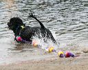 20140816-cwd-0376