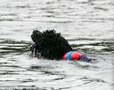 20140816-cwd-0385