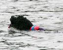 20140816-cwd-0386