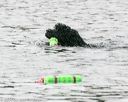 20140816-cwd-0397