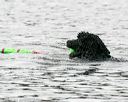 20140816-cwd-0401