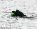 20140816-cwd-0403
