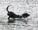 20140816-cwd-0407