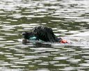 20140816-cwd-0429