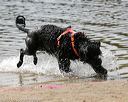 20140816-cwd-0444