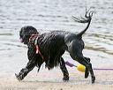 20140816-cwd-0447