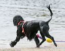 20140816-cwd-0450