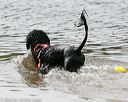 20140816-cwd-0460