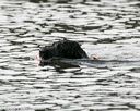 20140816-cwd-0478