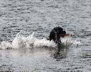 20140816-cwd-0523