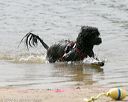 20140816-cwd-0534