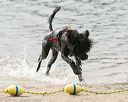 20140816-cwd-0539