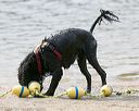 20140816-cwd-0542