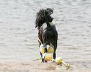 20140816-cwd-0546
