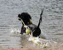 20140816-cwd-0548