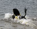 20140816-cwd-0553