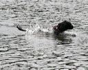 20140816-cwd-0563