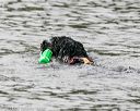 20140816-cwd-0568