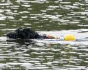 20140816-cwd-0583
