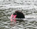 20140816-cwd-0605