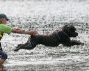 20140816-cwd-0616