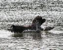 20140816-cwd-0618