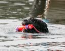 20140816-cwd-0623