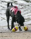 20140816-cwd-0668