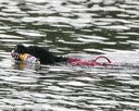 20140816-cwd-0693