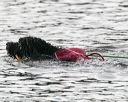 20140816-cwd-0707