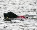 20140816-cwd-0709