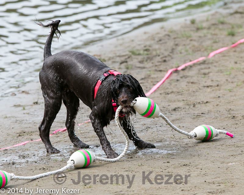 20140816-cwd-0045.jpg