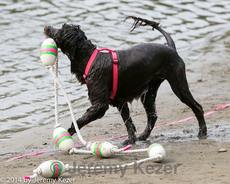 20140816-cwd-0046.jpg