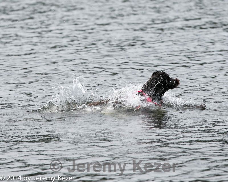 20140816-cwd-0095.jpg