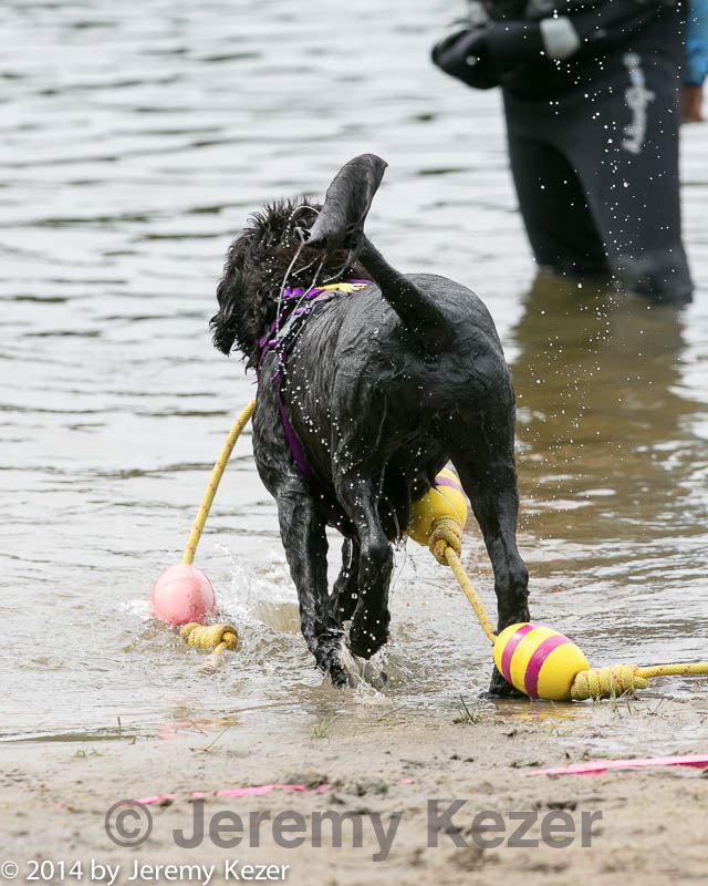 20140816-cwd-0113.jpg