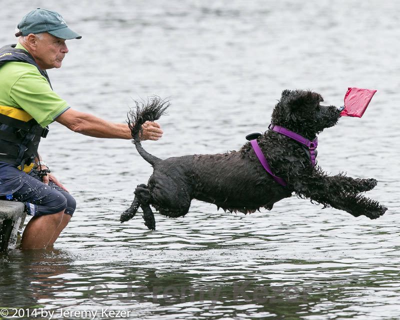 20140816-cwd-0119.jpg
