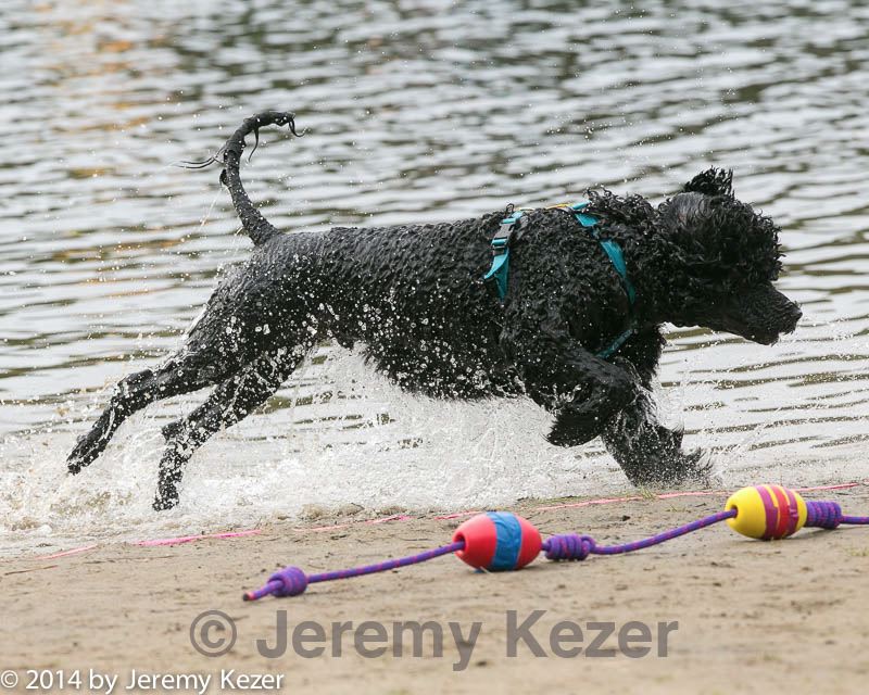 20140816-cwd-0365.jpg