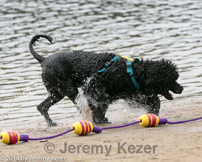 20140816-cwd-0367.jpg