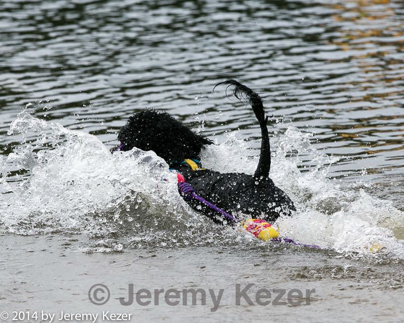 20140816-cwd-0381.jpg