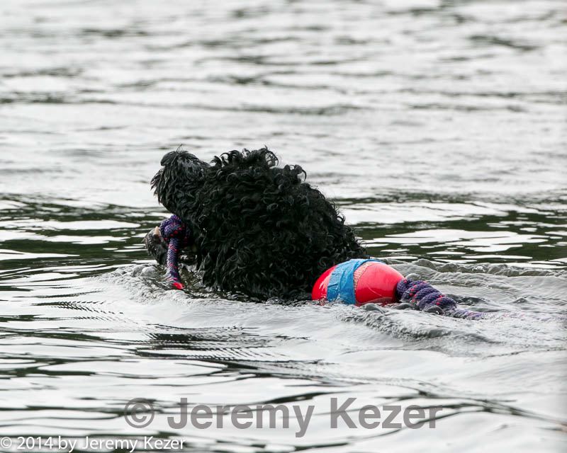 20140816-cwd-0385.jpg