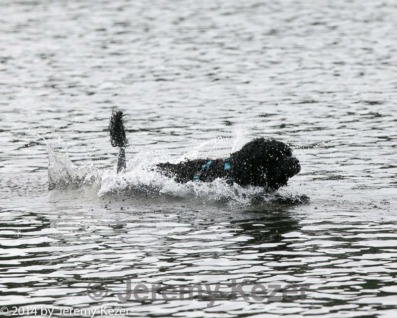 20140816-cwd-0393.jpg