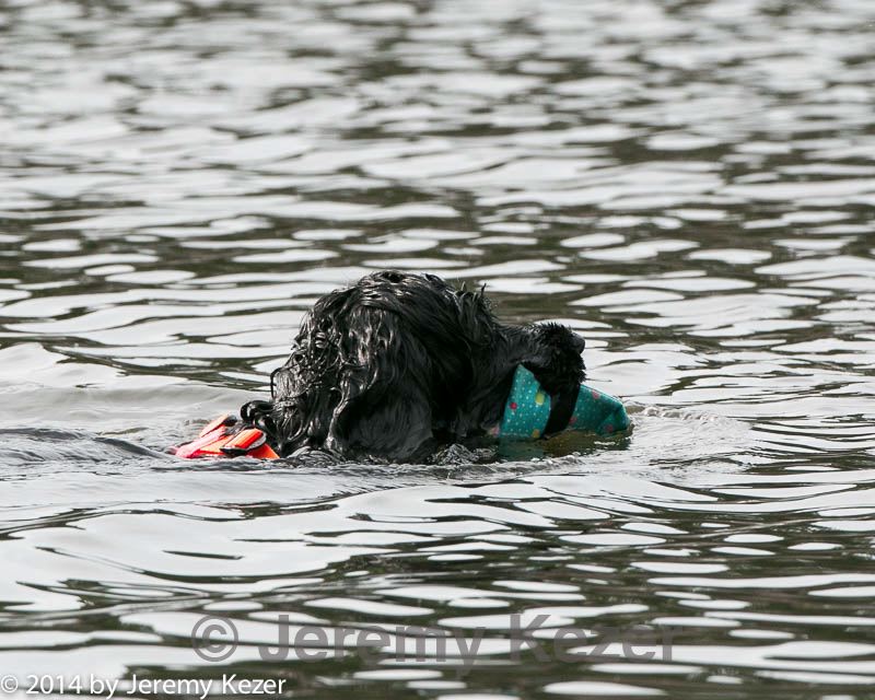 20140816-cwd-0424.jpg