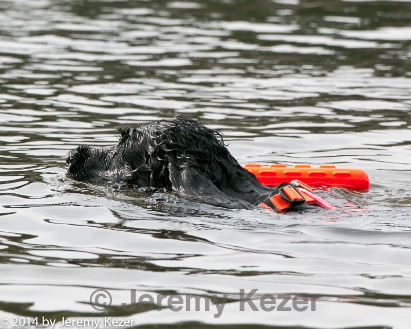 20140816-cwd-0476.jpg
