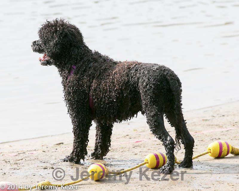 20140816-cwd-0615.jpg
