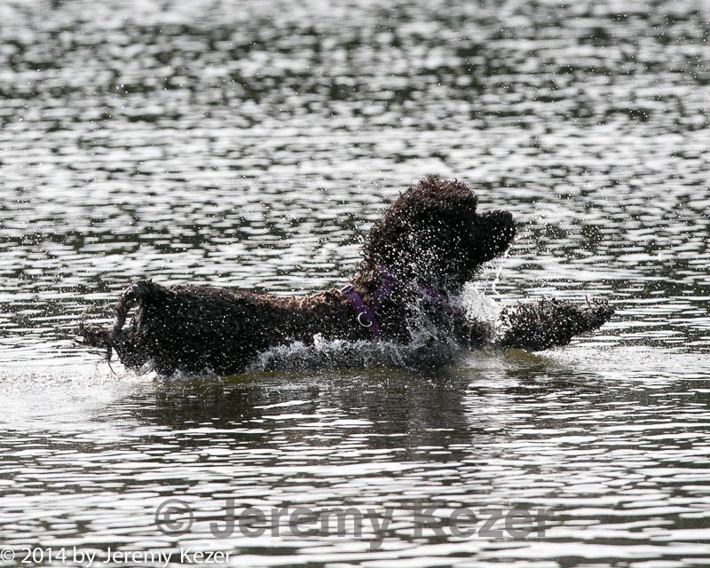 20140816-cwd-0618.jpg