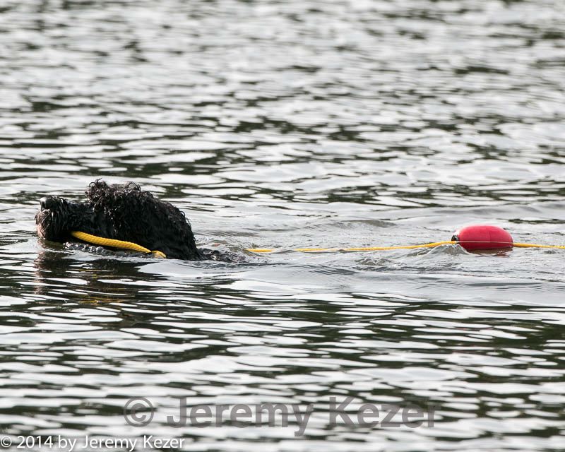 20140816-cwd-0632.jpg