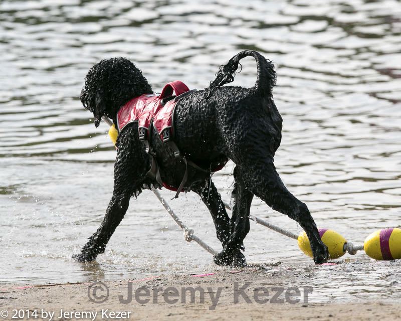 20140816-cwd-0669.jpg