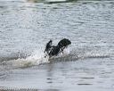 20140816-jwd-0070