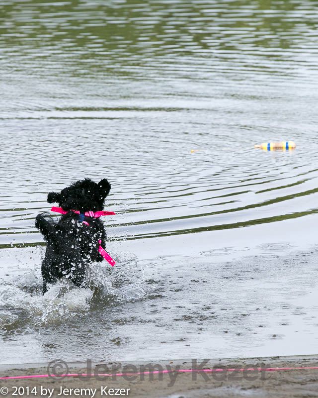 20140816-jwd-0005.jpg